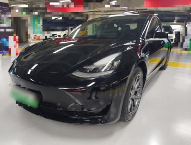 Tesla Model 3 2020 Tesla Model 3 2020 car image