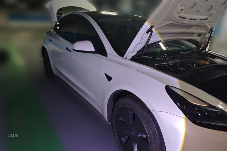 Tesla Model 3 2023 car image #4