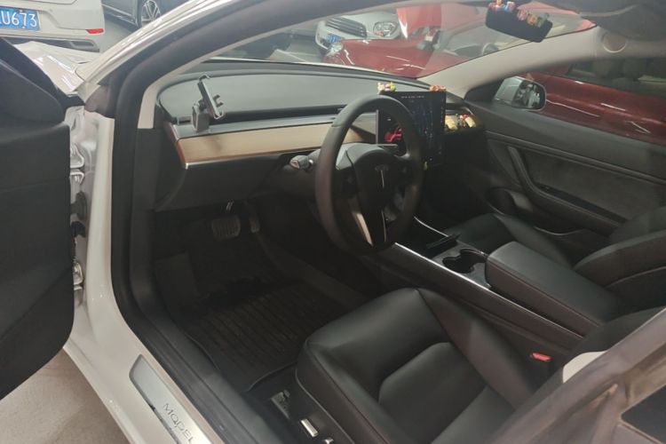 Tesla Model 3 2020 car image #16