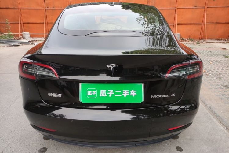 Tesla Model 3 2021 imagem de carro #4