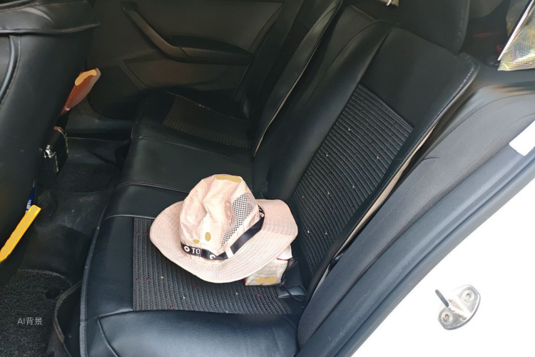 Volkswagen Santana 2020 car image #19