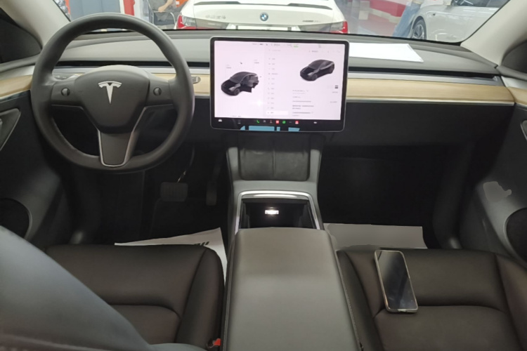 Tesla Model Y 2021 #10 Tesla Model Y 2021 car image #10