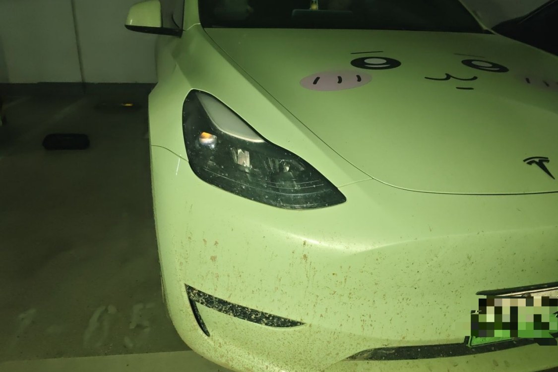 Tesla Model Y 2024 #7 Tesla Model Y 2024 car image #7