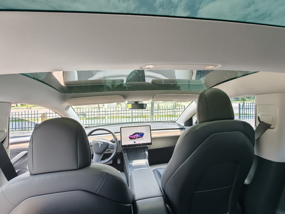 Tesla Model 3 2022 car image #7