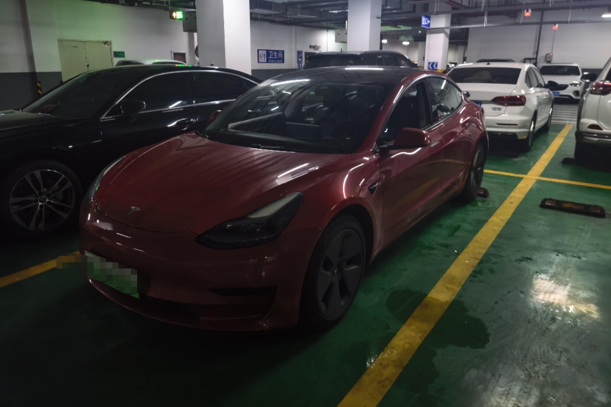 Tesla Model 3 2021 immagine di auto 