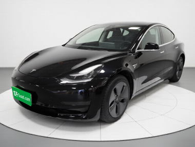 Tesla Model 3 2020 Tesla Model 3 2020 car image