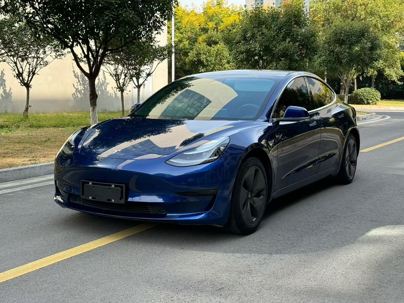Tesla Model 3 2020 Tesla Model 3 2020 car image