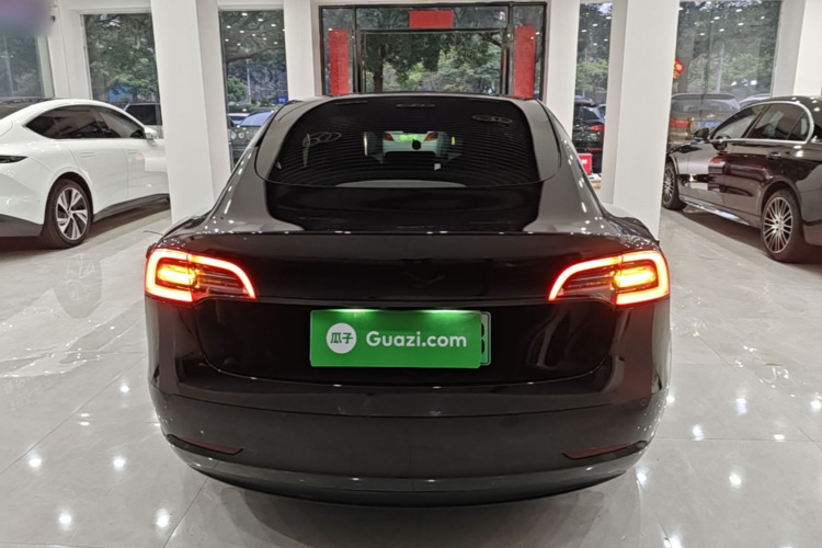 Tesla Model 3 2021 car image #6
