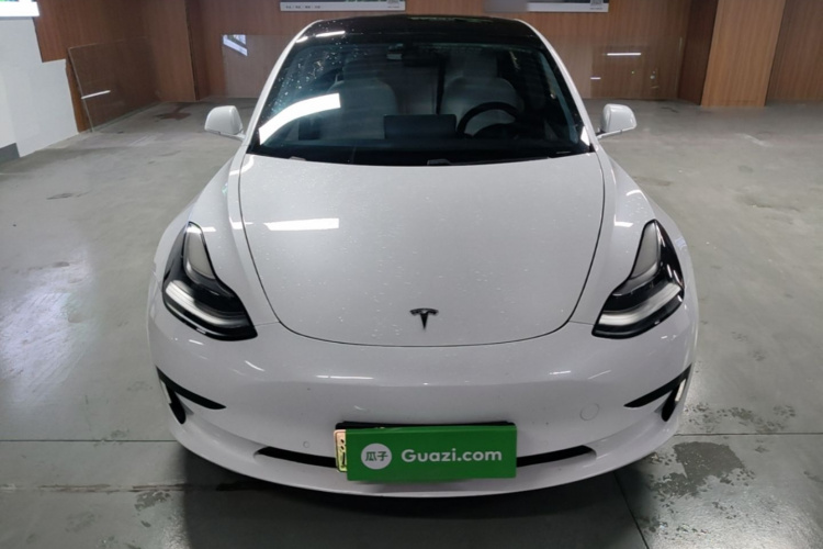 Tesla Model 3 2020 #3 Tesla Model 3 2020 car image #3