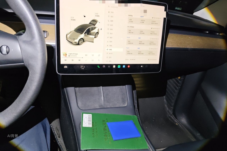 Tesla Model Y 2021 #15 Tesla Model Y 2021 car image #15