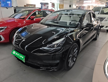 Tesla Model 3 2021 Tesla Model 3 2021 car image
