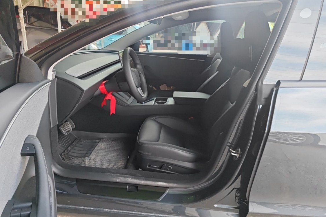 Tesla Model 3 2024 immagine di auto #23