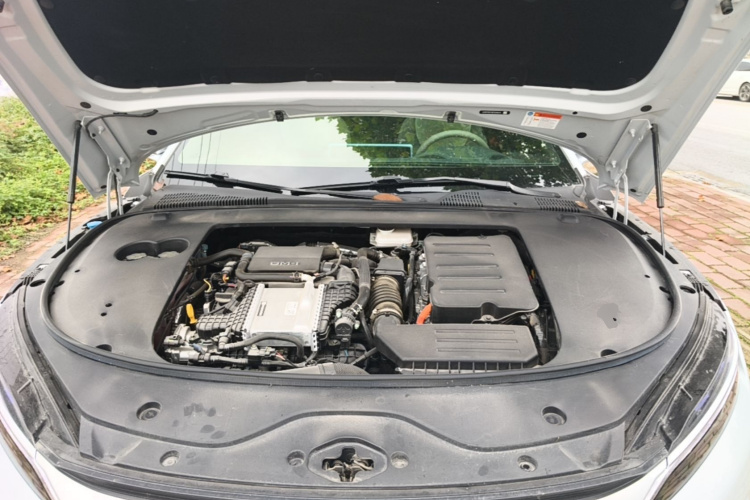 BYD Han 2024 immagine di auto #20