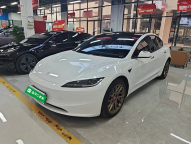 Tesla Model 3 2024 immagine di auto 