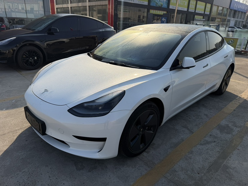 Tesla Model 3 2022 Tesla Model 3 2022 car image