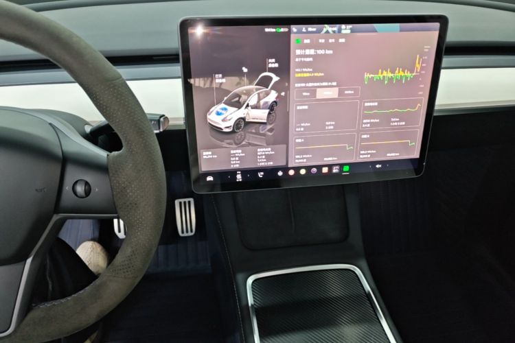 Tesla Model Y 2022 car image #13