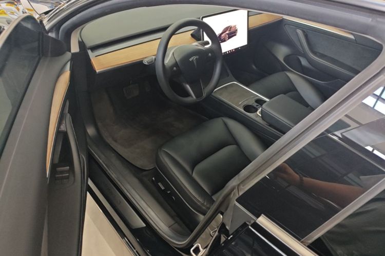 Tesla Model 3 2022 car image #16