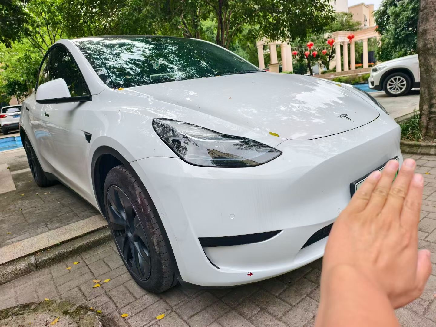 Tesla Model Y 2023 #3 Tesla Model Y 2023 car image #3