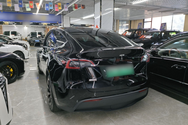Tesla Model Y 2023 #5 Tesla Model Y 2023 car image #5