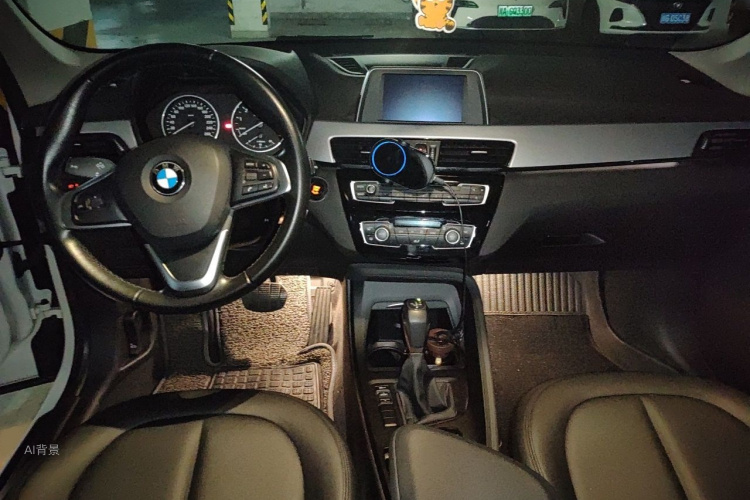 BMW X1 2017 car image #11