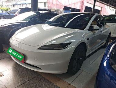 Tesla Model 3 2024 car image 