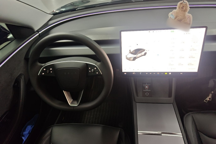 Tesla Model 3 2024 #11 Tesla Model 3 2024 car image #11