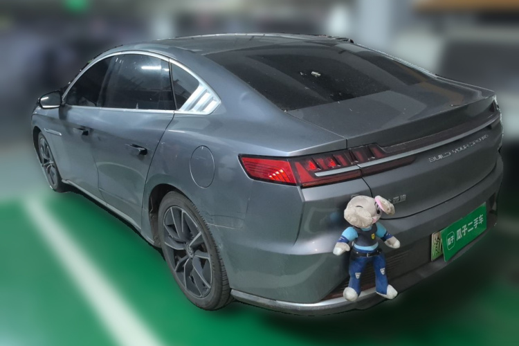 BYD Han 2021 #5 BYD Han 2021 immagine di auto #5