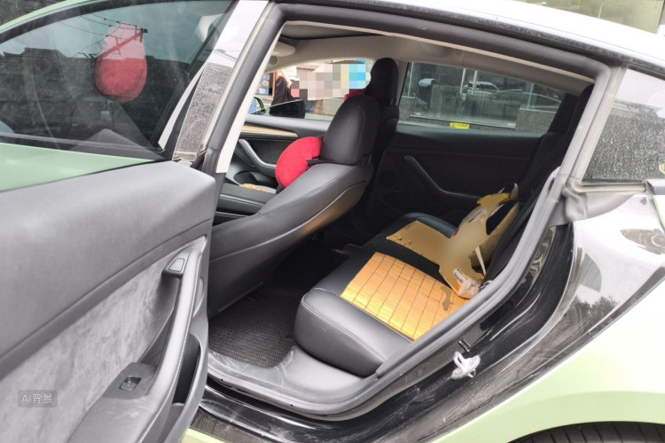 Tesla Model 3 2021 car image #19