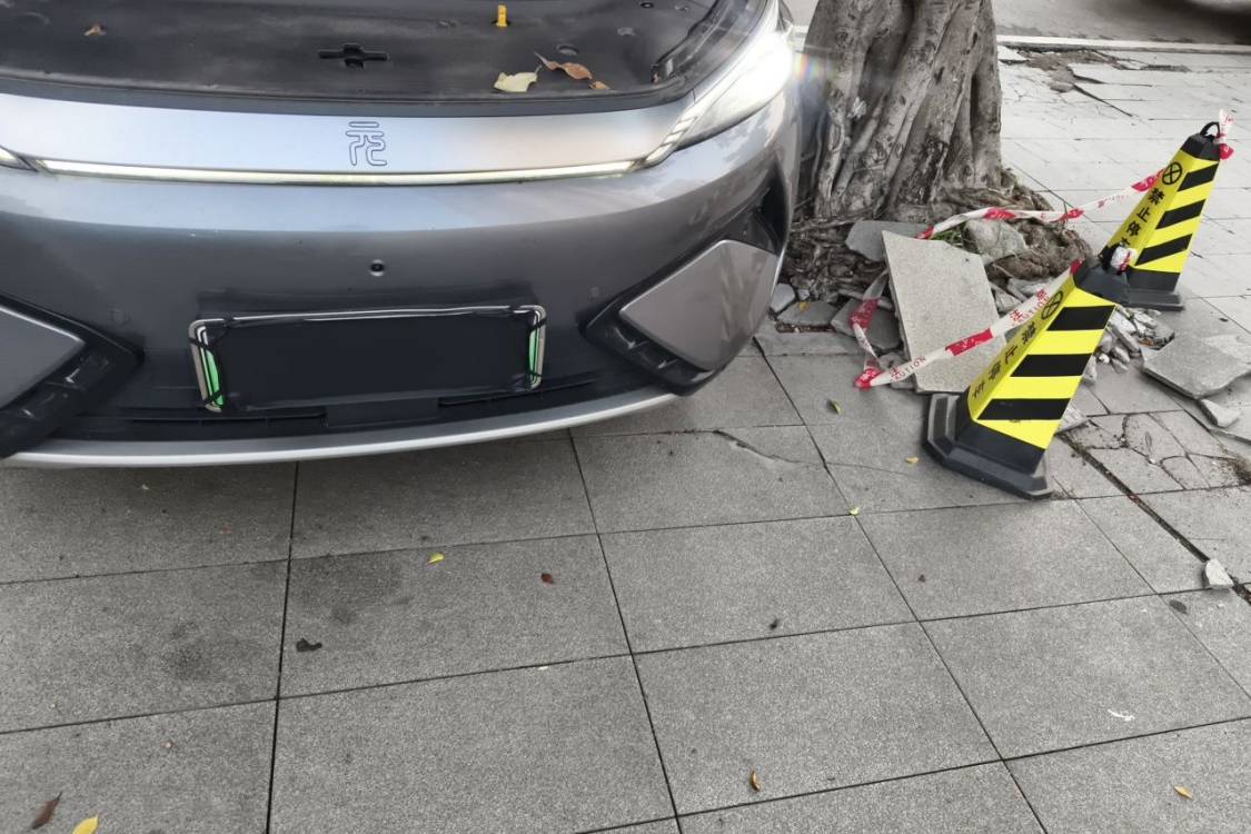 BYD Yuan Plus 2025 car image #12