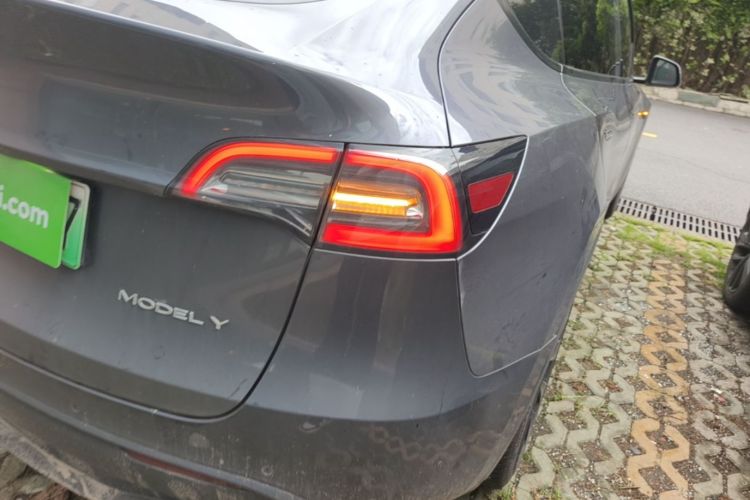Tesla Model Y 2021 car image #8