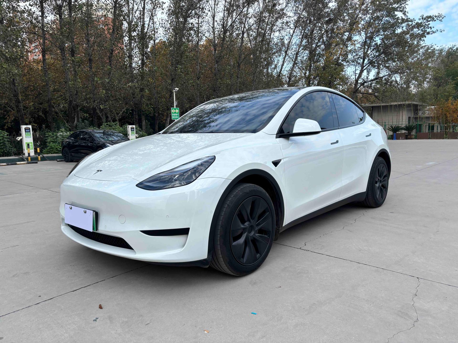 Tesla Model Y 2023 Tesla Model Y 2023 car image