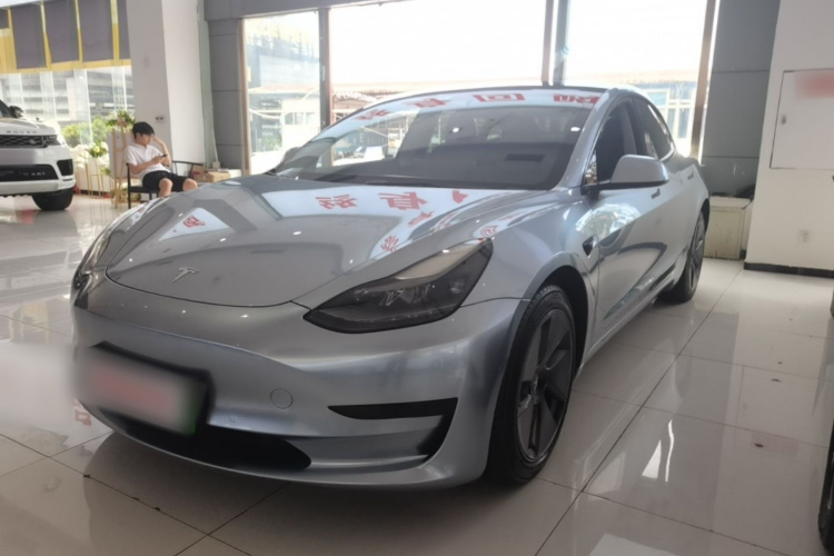 Tesla Model 3 2021 #2 Tesla Model 3 2021 car image #2