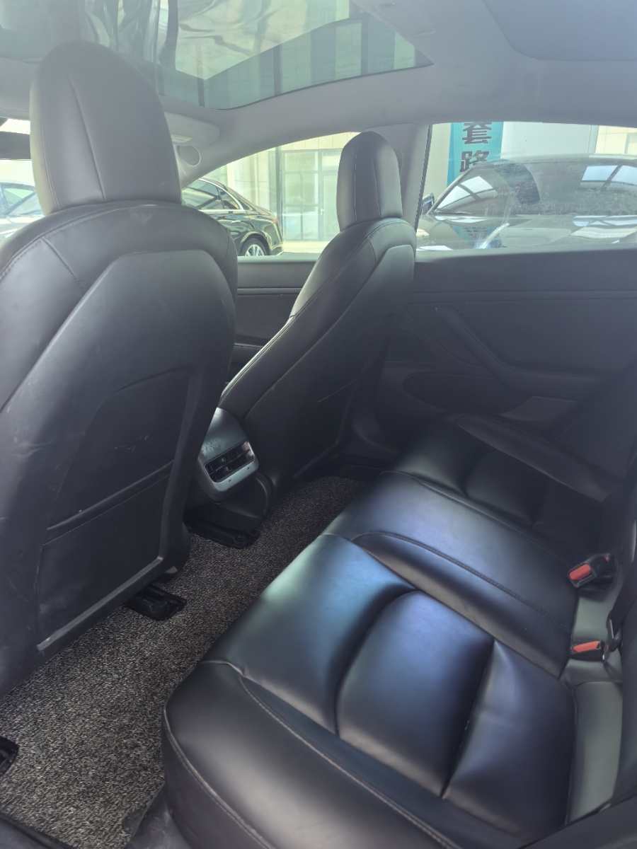Tesla Model 3 2020 car image #5