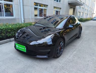 Tesla Model 3 2022 car image 
