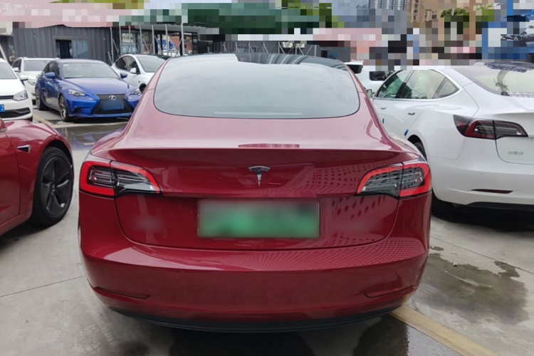 Tesla Model 3 2021 #6 Tesla Model 3 2021 car image #6
