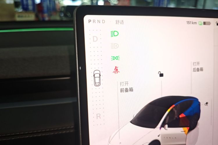 Tesla Model Y 2025 car image #18