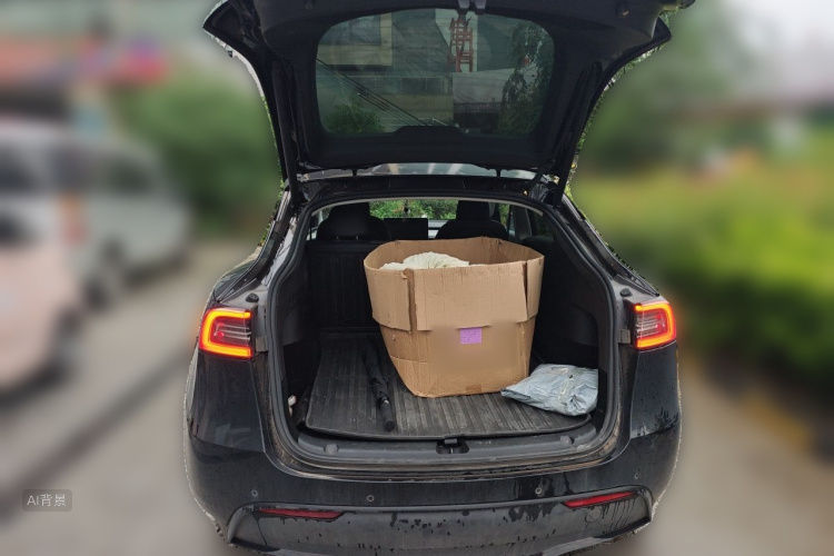 Tesla Model Y 2023 #16 Tesla Model Y 2023 car image #16