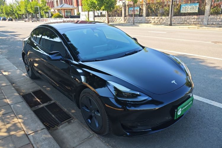Tesla Model 3 2022 car image #6