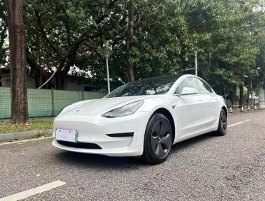 Tesla Model 3 2020 Tesla Model 3 2020 car image