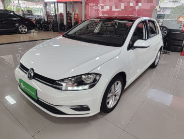 Volkswagen Golf 2019 car image 