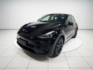 Tesla Model Y 2023 car image 