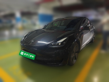 Tesla Model 3 2022 car image 