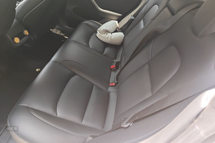 Tesla Model 3 2022 car image #19
