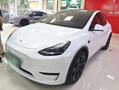 Tesla Model Y 2022 Tesla Model Y 2022 صورة سيارة