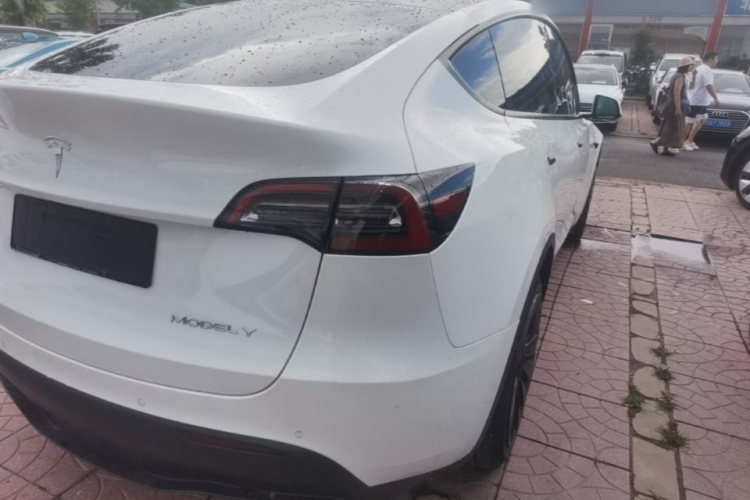 Tesla Model Y 2021 car image #8