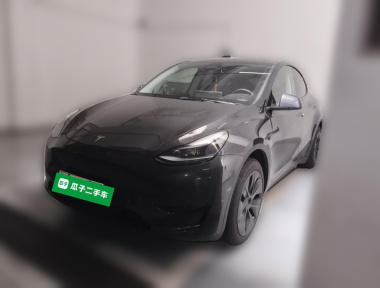 Tesla Model Y 2024 Tesla Model Y 2024 car image