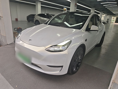 Tesla Model Y 2021 Tesla Model Y 2021 car image