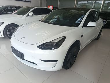 Tesla Model 3 2023 car image 