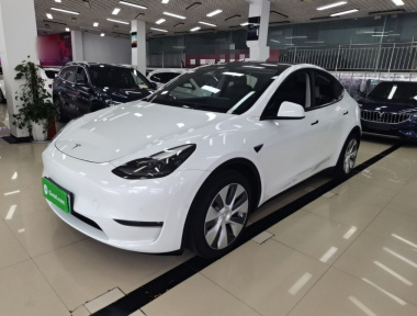 Tesla Model Y 2021 car image 