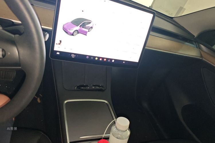 Tesla Model Y 2021 car image #15